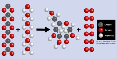 Figure 16-3