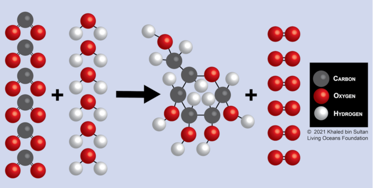 Figure 16-3