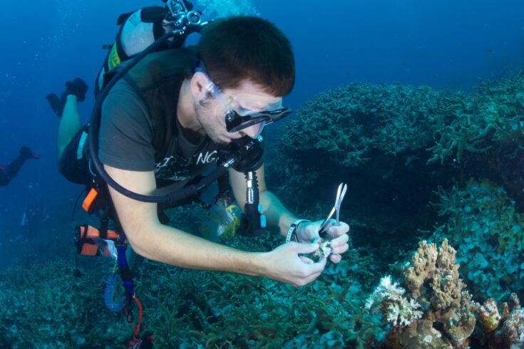 Anderson Mayfield sampling corals for analysis. Photo (c)Keith Ellenbogen/iLCP.