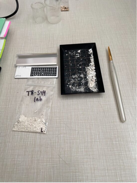 Figure 2: Materials to process Foraminifera samples: picking tray, art paint brush and micropaleontology slide. 