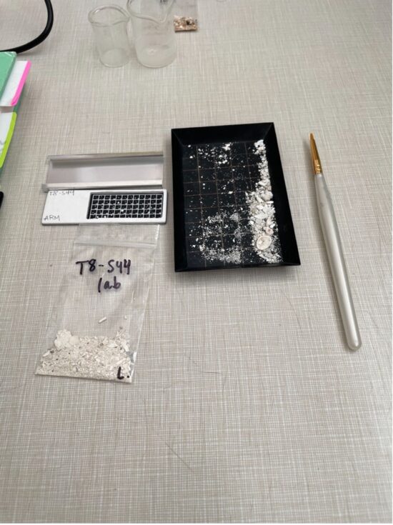 Figure 2: Materials to process Foraminifera samples: picking tray, art paint brush and micropaleontology slide.