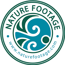 Nature Footage