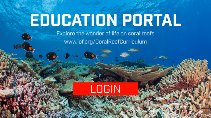Coral Reef Education Portal