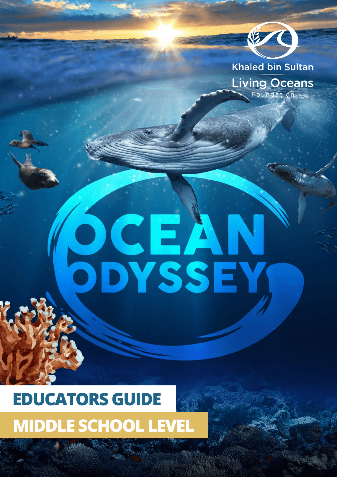 Announcing our Educator’s Guide for the IMAX film, Ocean Odyssey