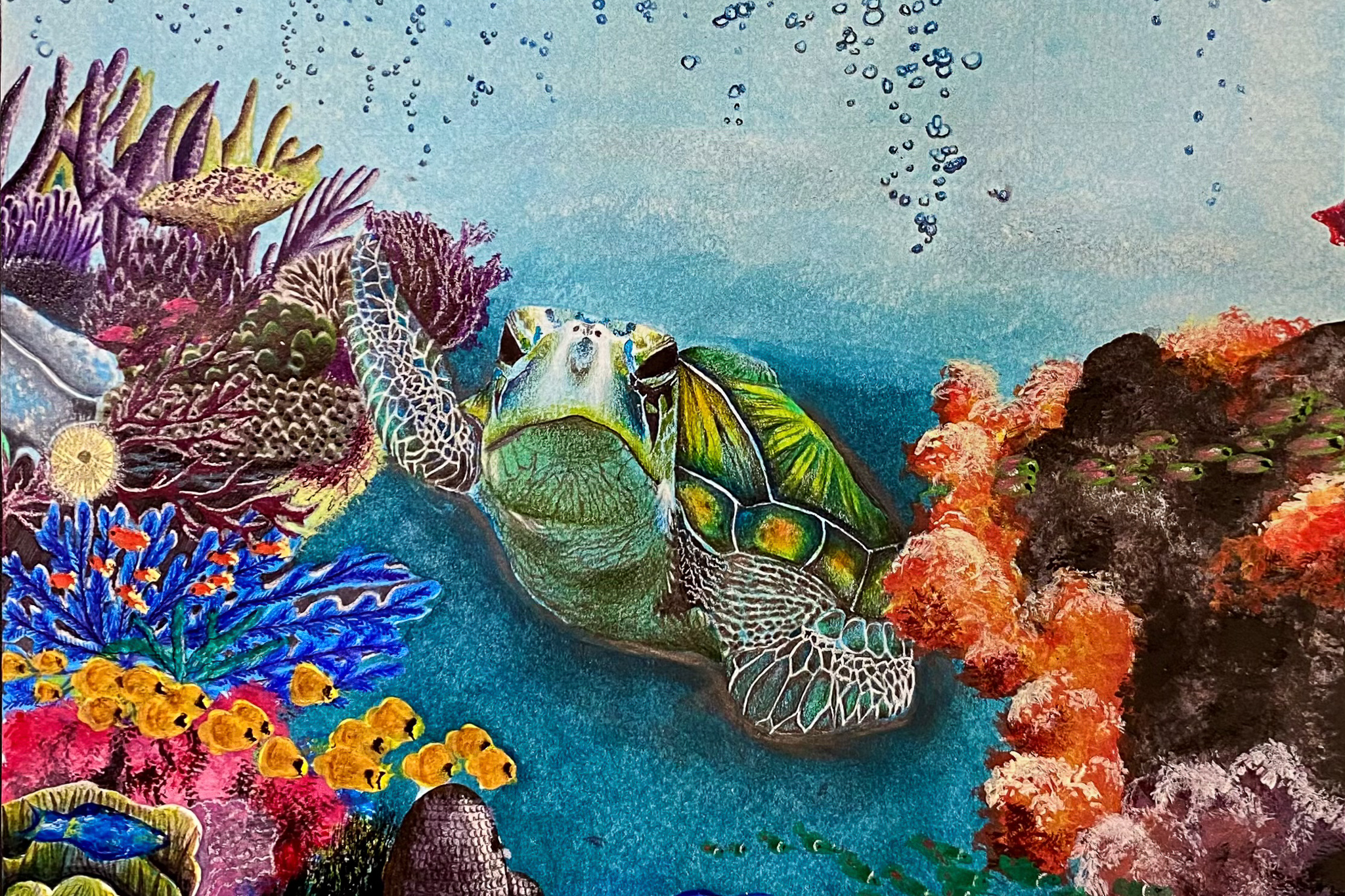 Last chance to apply to our student art competition, the Science Without Borders® Challenge!