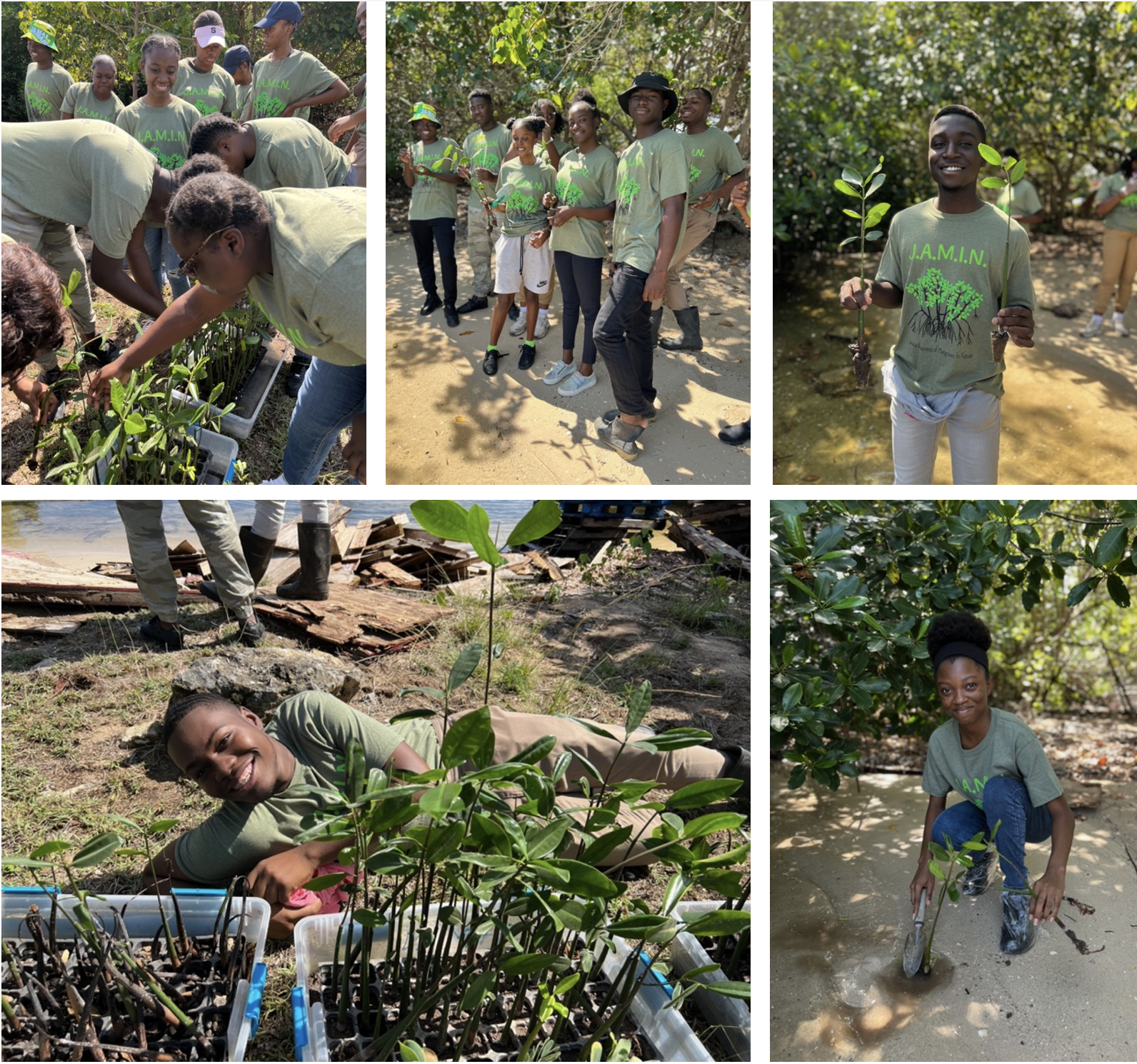 Photo: J.A.M.I.N. students exude boundless enthusiasm as they carefully plant their mangrove propagules within the thriving mangrove forest situated near William Knibb Memorable High School