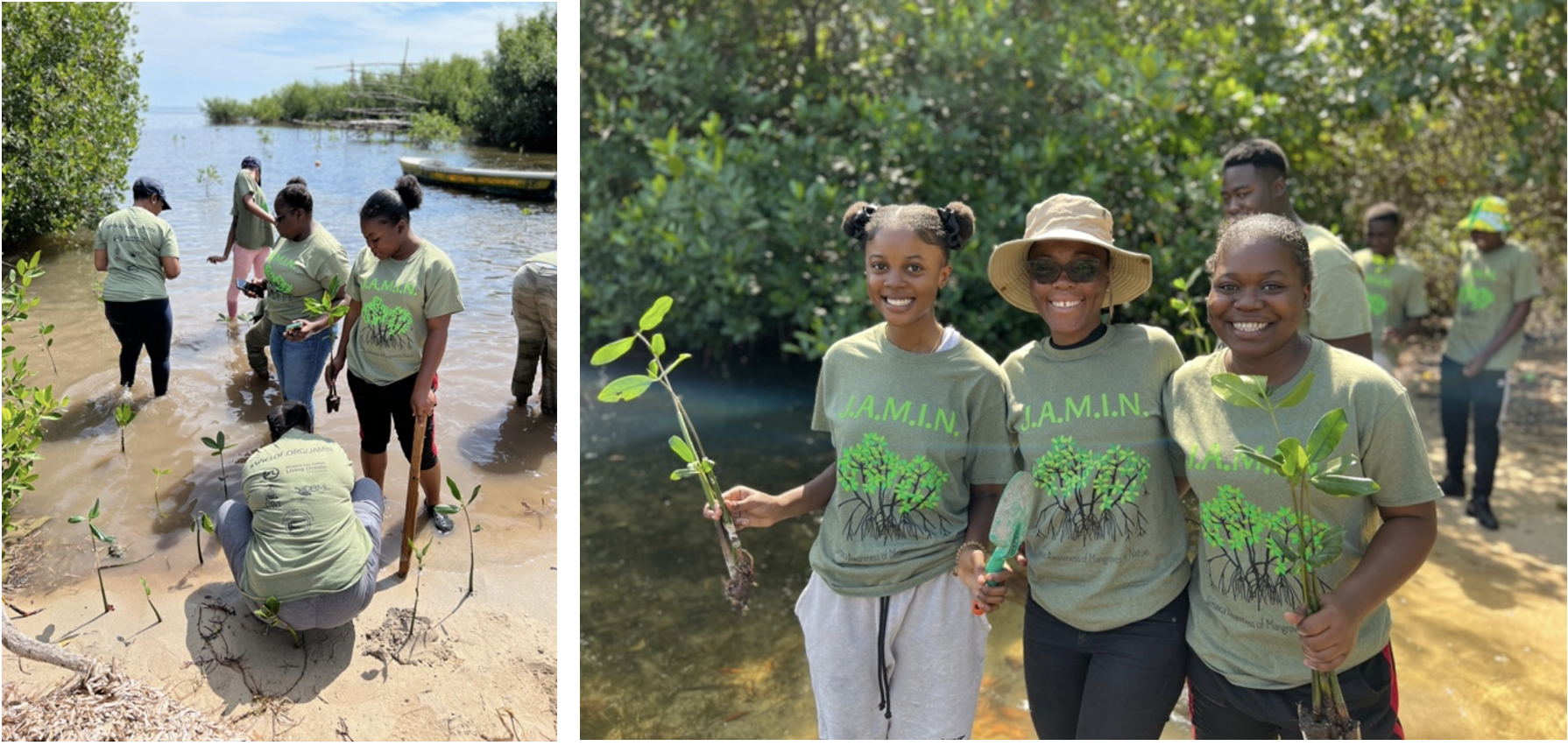 Photo: J.A.M.I.N. students exude boundless enthusiasm as they carefully plant their mangrove propagules within the thriving mangrove forest situated near William Knibb Memorial High School.