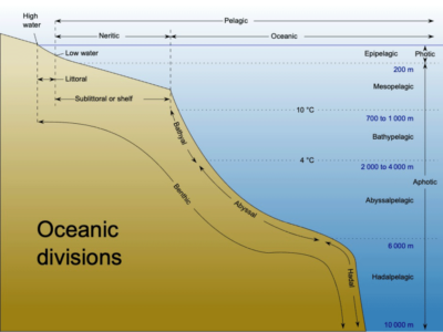 Deep Sea Diagram