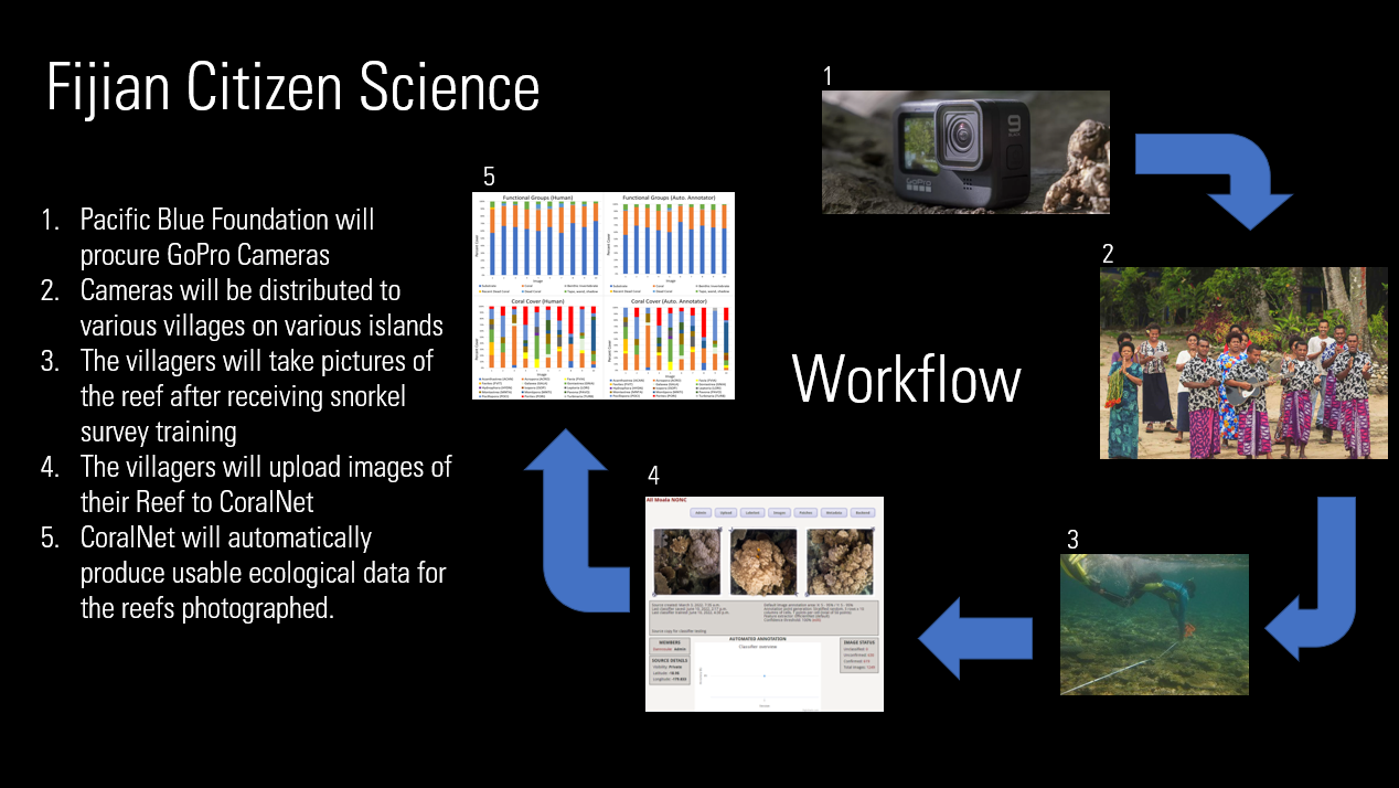 Workflow of how the Fijian Citizen Science program operates. The goal of this protocol is to be easily replicated within the Beqa Seascape and other SIDS, Small Island Developing States.