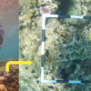 Community-Based Coral Reef Monitoring in Rukua Village