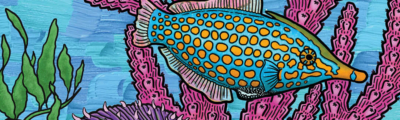Reefs at Risk