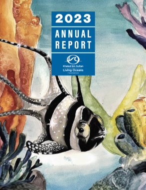 The Khaled bin Sultan Living Ocean Foundation's 2023 Annual Report Cover, featuring a student's drawing of an endangered fish with black and white stripes from their annual student art contest, the Science Without Borders Challenge.