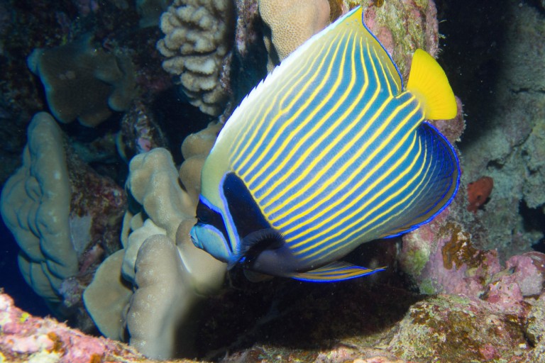 40883a75a9c873619fae03a666d40026