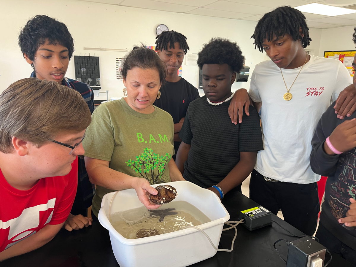 Connecting Threads: B.A.M. and J.A.M.I.N. Explore Mangrove Food Webs