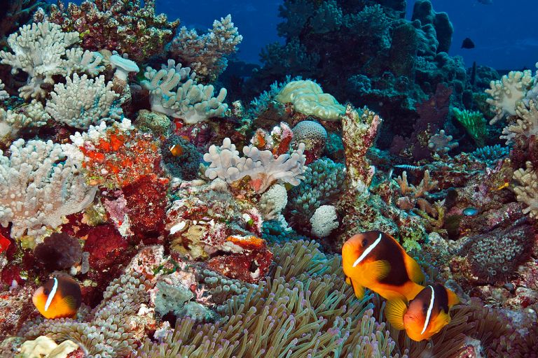 cc1fbc5f46f0768bb246c25bbb78761b