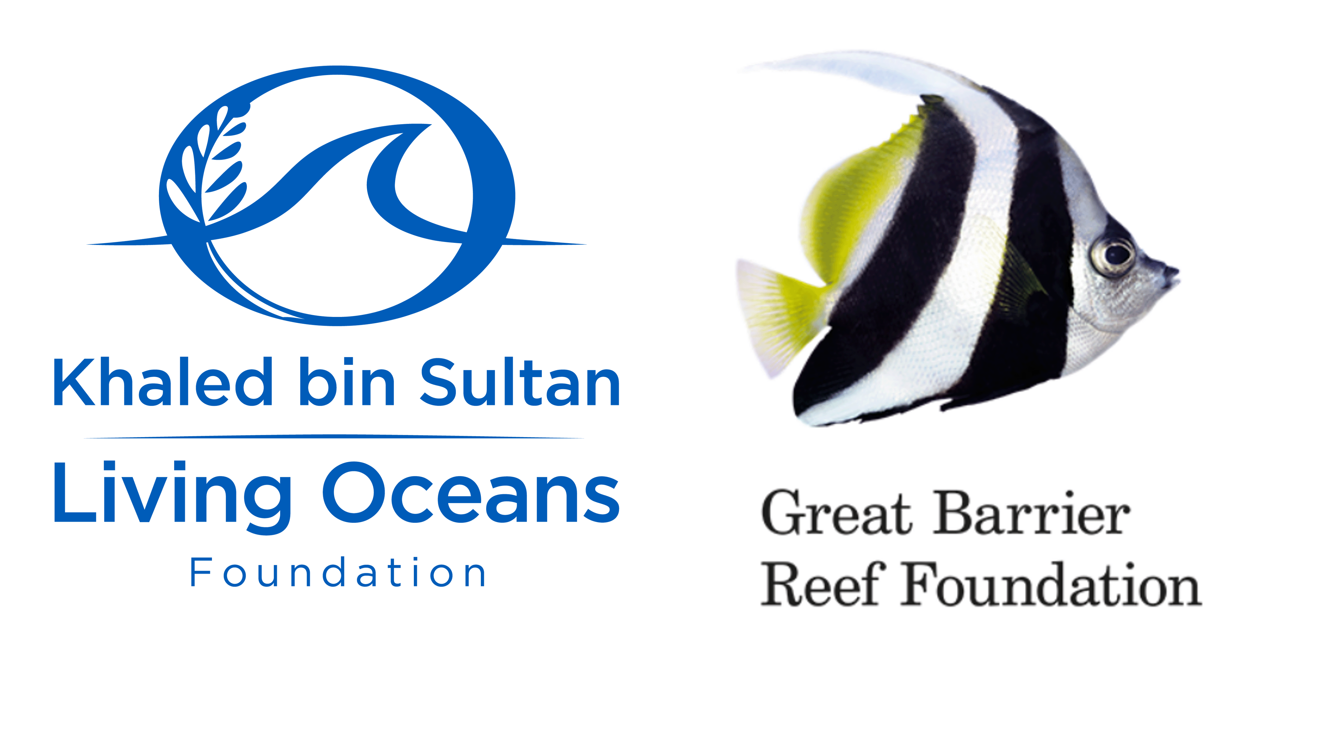 Working with the Great Barrier Reef Foundation to save corals in the ...