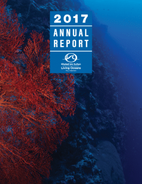 2017 Annual Report