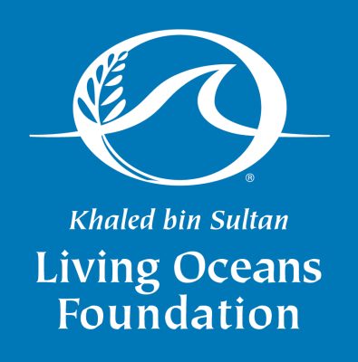 The original version of the Living Ocean Foundation's Logo, featuring a wave centered inside a circle, with an olive branch around the edge of the circle.