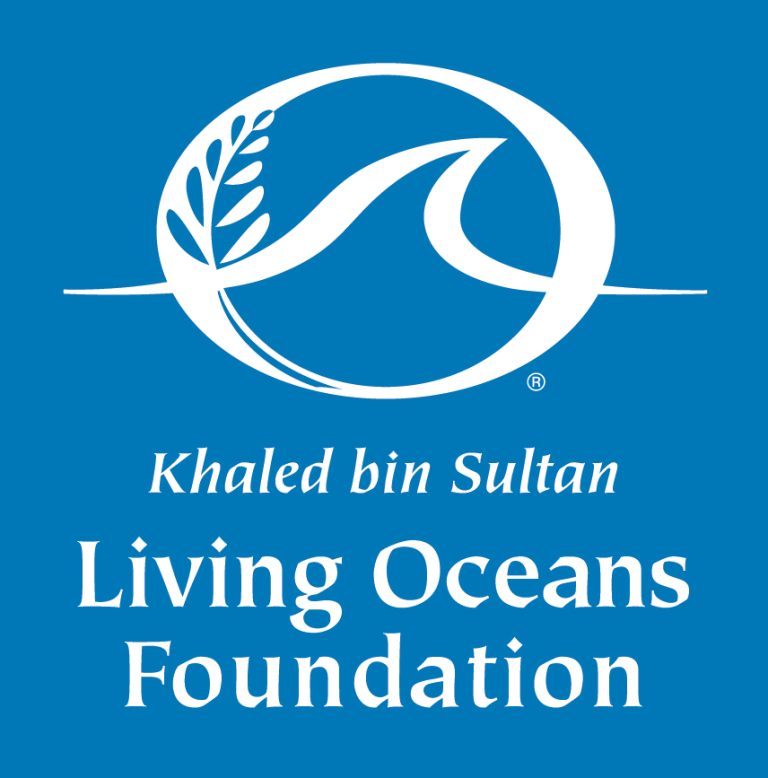 The original version of the Living Ocean Foundation's Logo, featuring a wave centered inside a circle, with an olive branch around the edge of the circle.