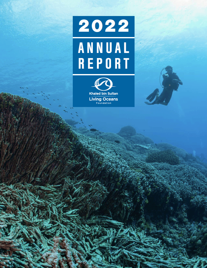 2022-AnnualReportCover