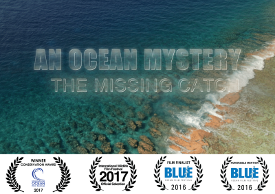 An Ocean Mystery