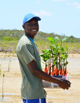 B.A.M. - A New Project to Restore Mangroves in The Bahamas