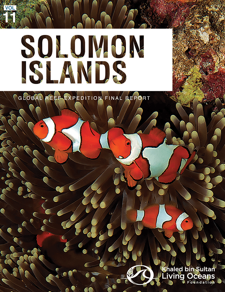 Cover-of-Solomon-Islands-Final-Report