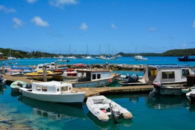 Tongan fishing boats