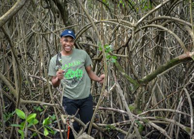 Tongan fishing boats
