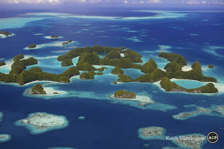 The Ngerukewid Islands or Seventy Islands are Palau's iconic island landscape symbolizing pristine beauty. The Seventy Islands (literally translated from Palau's name Ngerukuid meaning seventy). These islands are part of the Rock Islands an archipelago that includes approximately 250 to 300 islands in the group. The Islands were in part formed from limestone of accent coral reefs and coral uprisings. The Rock Islands are a World Heritage Site since 2012. Photo: ©Keith Ellenbogen/iLCP