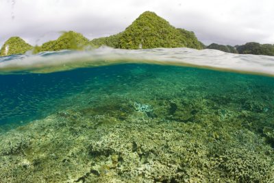 Ellenbogen_Palau_072