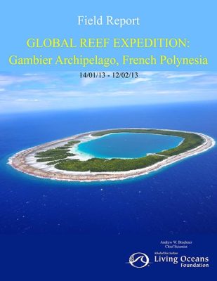 Gambier Field Report, French Polynesia Coral Reef Research