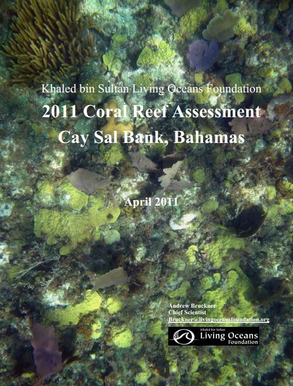 Khaled bin Sultan Living Oceans Foundation Coral Reef Assessment Cay Sal Bank Bahamas 2011