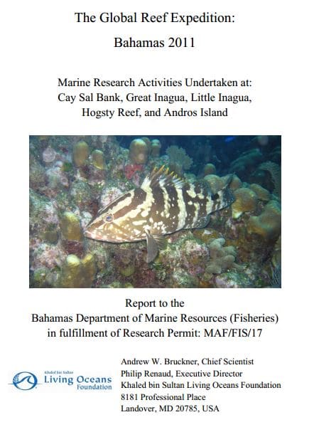 LOFBahamas_final_report