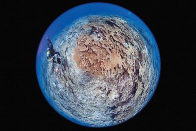 Michele Westmoreland 2013 French Polynesia Expedition with Living Oceans Foundation