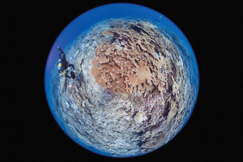 Michele Westmoreland 2013 French Polynesia Expedition with Living Oceans Foundation