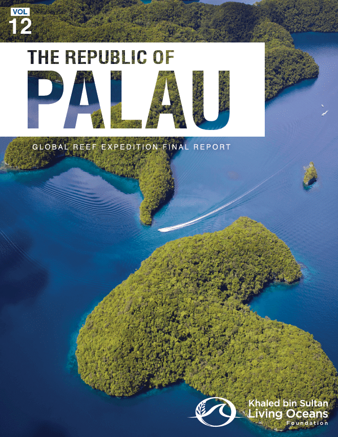 Palau-Cover-Small