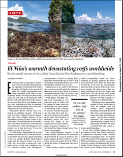 El Niño’s warmth devastates reefs worldwide