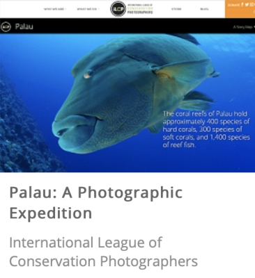 Palau: A Photographic Expedition