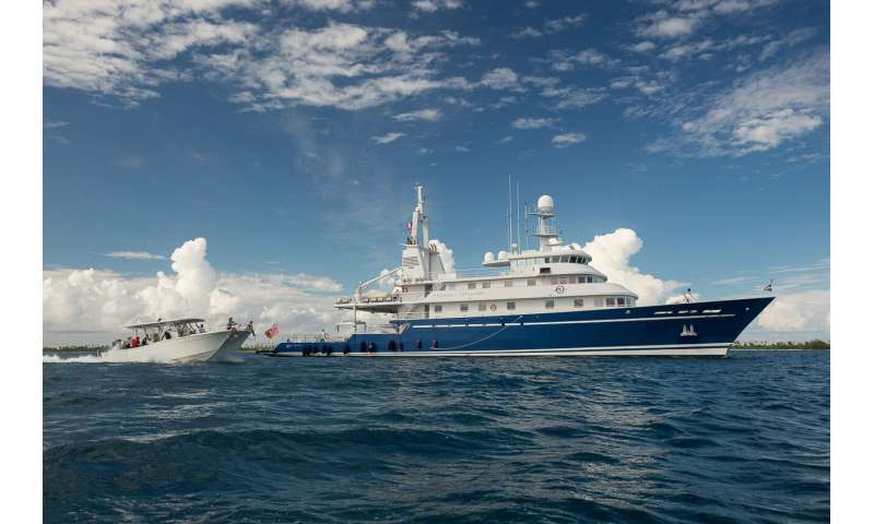 A groundbreaking survey of the world’s reefs reveals the extent of the coral reef crisis