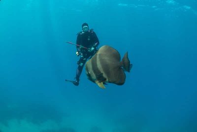 Capt Phil Renaud diving.