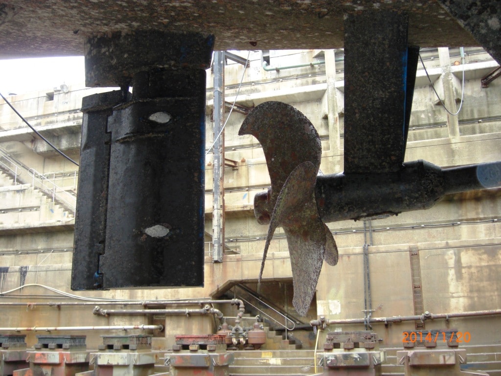 The LSU Wildlife Crew