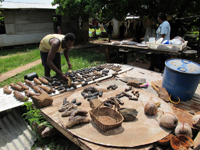 In Fiji, sea cucumbers are dried before sold.