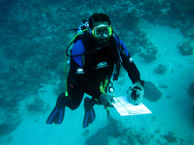 Fijian Fisheries Officer, William Saladrua, conducting sea cucumber surveys.