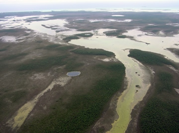 Low development on Andros Island Low development on Andros Island