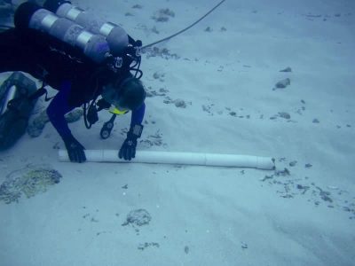 Coral Coring