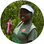 Jamaican high school student talks about her experience in the JAMIN project 2