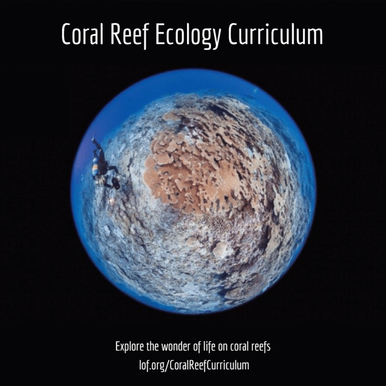 New Coral Reef Ecology Curriculum