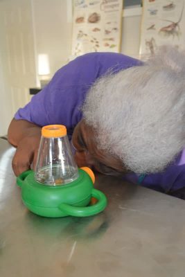 Bahamas Mangrove Project Teacher Reflection