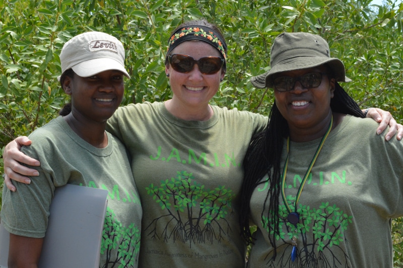 J.A.M.I.N. Spring 2018